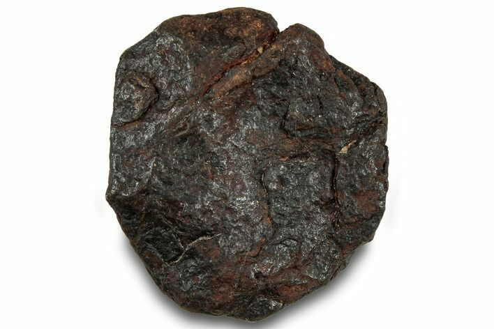 Canyon Diablo Iron Meteorite ( g) - Arizona #319579